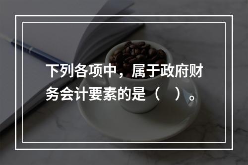 下列各项中，属于政府财务会计要素的是（　）。