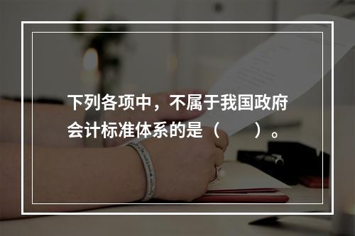 下列各项中，不属于我国政府会计标准体系的是（　　）。