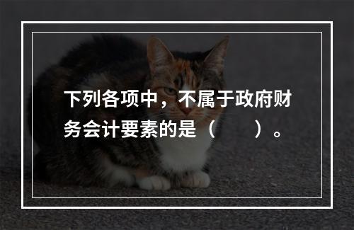 下列各项中，不属于政府财务会计要素的是（　　）。