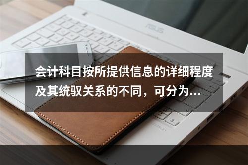 会计科目按所提供信息的详细程度及其统驭关系的不同，可分为（