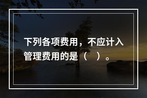 下列各项费用，不应计入管理费用的是（　）。