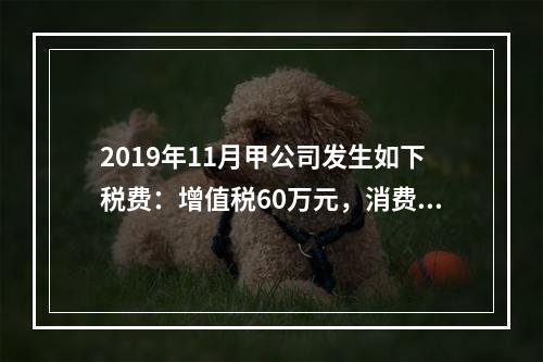 2019年11月甲公司发生如下税费：增值税60万元，消费税8