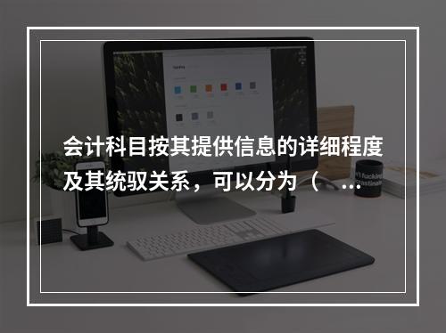 会计科目按其提供信息的详细程度及其统驭关系，可以分为（　　）