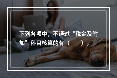 下列各项中，不通过“税金及附加”科目核算的有（　　）。