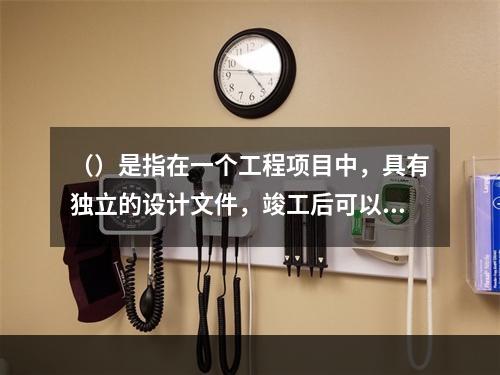 （）是指在一个工程项目中，具有独立的设计文件，竣工后可以独立