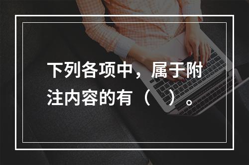 下列各项中，属于附注内容的有（　）。