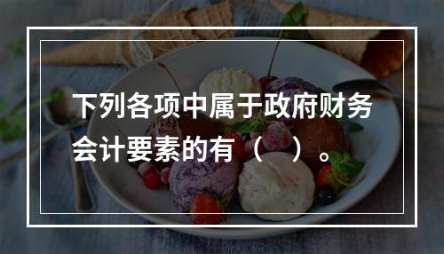 下列各项中属于政府财务会计要素的有（　）。