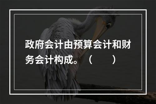 政府会计由预算会计和财务会计构成。（　　）