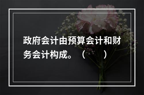 政府会计由预算会计和财务会计构成。（　　）