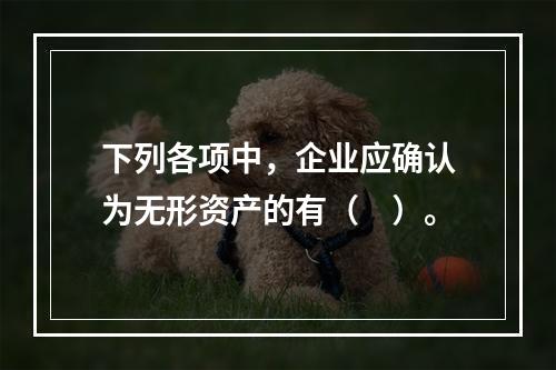 下列各项中，企业应确认为无形资产的有（　）。