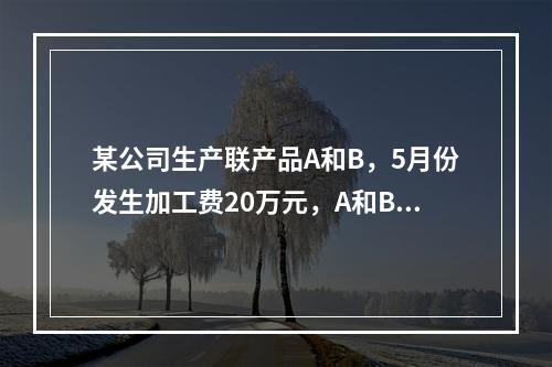 某公司生产联产品A和B，5月份发生加工费20万元，A和B在分