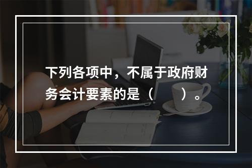 下列各项中，不属于政府财务会计要素的是（　　）。