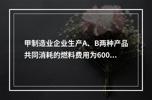 甲制造业企业生产A、B两种产品共同消耗的燃料费用为6000元