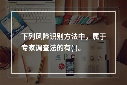 下列风险识别方法中，属于专家调查法的有( )。