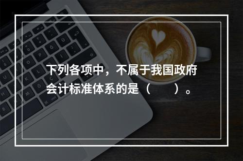 下列各项中，不属于我国政府会计标准体系的是（　　）。