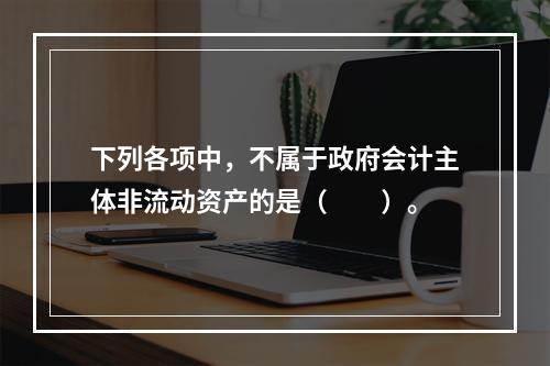 下列各项中，不属于政府会计主体非流动资产的是（　　）。