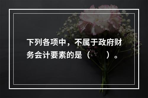 下列各项中，不属于政府财务会计要素的是（　　）。