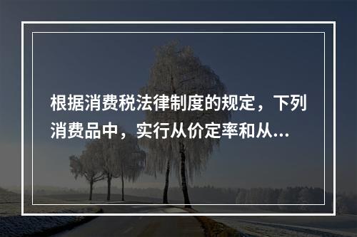 根据消费税法律制度的规定，下列消费品中，实行从价定率和从量定