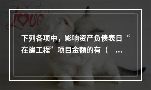 下列各项中，影响资产负债表日“在建工程”项目金额的有（　　）