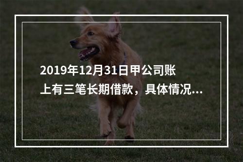 2019年12月31日甲公司账上有三笔长期借款，具体情况如下