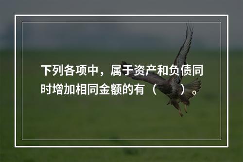 下列各项中，属于资产和负债同时增加相同金额的有（　　）。