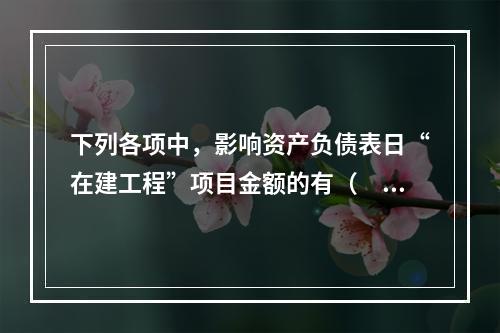 下列各项中，影响资产负债表日“在建工程”项目金额的有（　　）