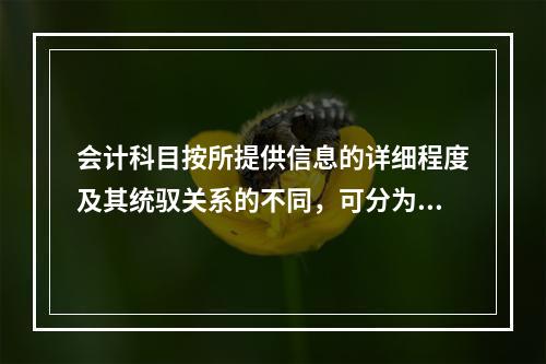 会计科目按所提供信息的详细程度及其统驭关系的不同，可分为（