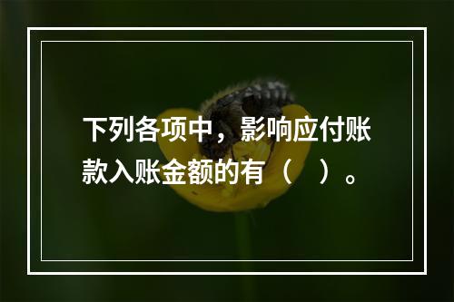 下列各项中，影响应付账款入账金额的有（　）。