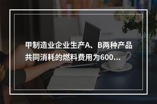 甲制造业企业生产A、B两种产品共同消耗的燃料费用为6000元