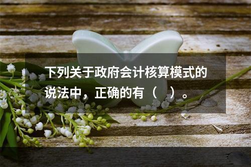 下列关于政府会计核算模式的说法中，正确的有（　）。