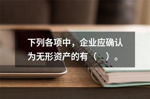 下列各项中，企业应确认为无形资产的有（　）。