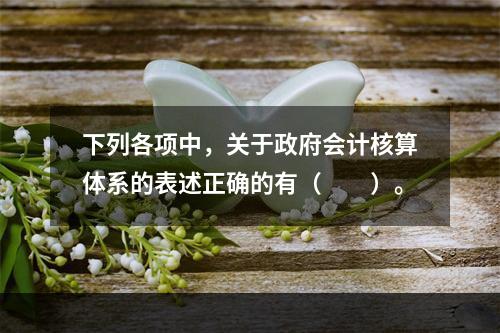 下列各项中，关于政府会计核算体系的表述正确的有（　　）。