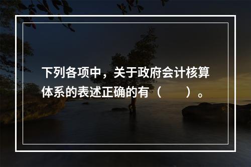 下列各项中，关于政府会计核算体系的表述正确的有（　　）。