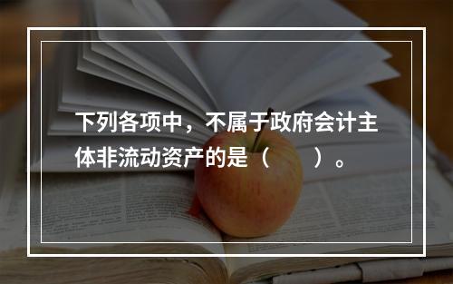 下列各项中，不属于政府会计主体非流动资产的是（　　）。