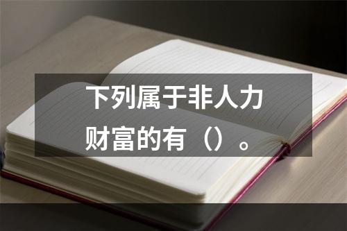 下列属于非人力财富的有（）。