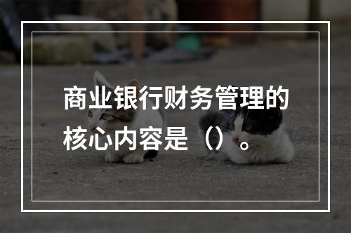 商业银行财务管理的核心内容是（）。