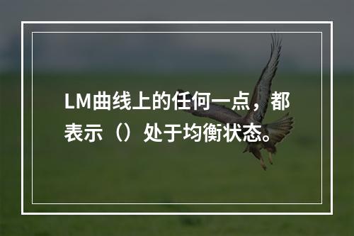 LM曲线上的任何一点，都表示（）处于均衡状态。