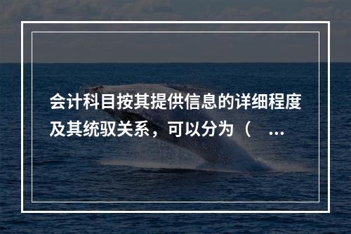 会计科目按其提供信息的详细程度及其统驭关系，可以分为（　　）