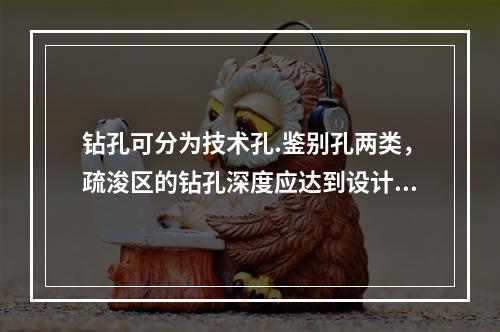 钻孔可分为技术孔.鉴别孔两类，疏浚区的钻孔深度应达到设计浚挖