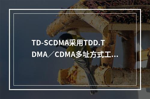 TD-SCDMA采用TDD.TDMA／CDMA多址方式工作，