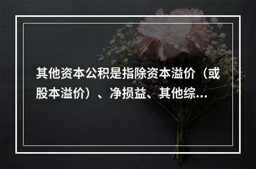 其他资本公积是指除资本溢价（或股本溢价）、净损益、其他综合收