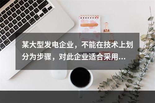 某大型发电企业，不能在技术上划分为步骤，对此企业适合采用的成