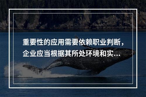 重要性的应用需要依赖职业判断，企业应当根据其所处环境和实际情