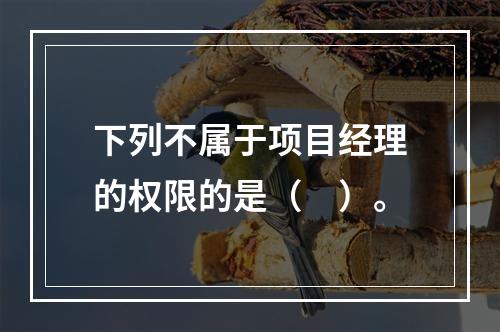 下列不属于项目经理的权限的是（　）。