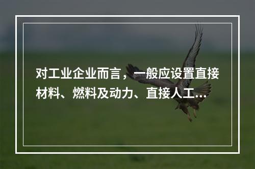 对工业企业而言，一般应设置直接材料、燃料及动力、直接人工、制