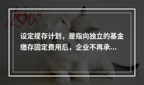 设定提存计划，是指向独立的基金缴存固定费用后，企业不再承担进