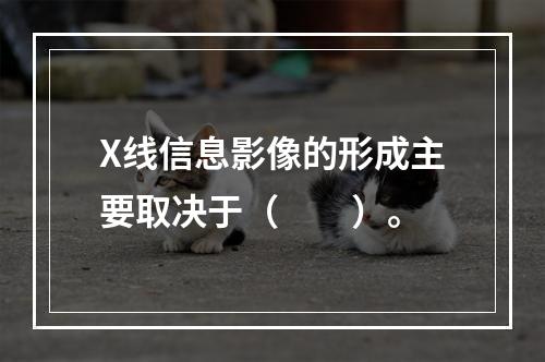 X线信息影像的形成主要取决于（　　）。