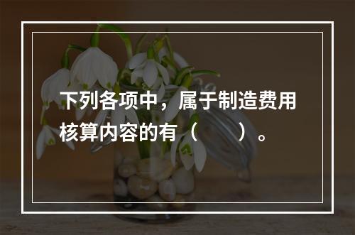 下列各项中，属于制造费用核算内容的有（　　）。