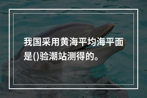 我国采用黄海平均海平面是()验潮站测得的。