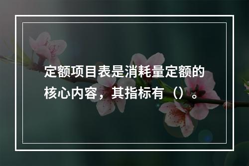 定额项目表是消耗量定额的核心内容，其指标有（）。